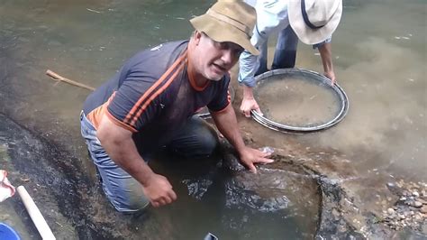 Como Encontrar Ouro Em Caldeirão De Rio Youtube