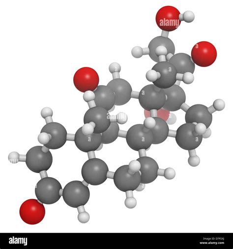 Cortisona Hormona Del Estrés El Modelo Molecular Los átomos Son