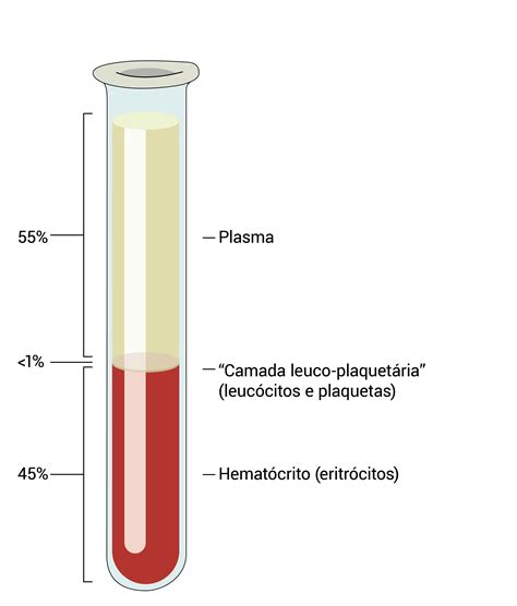 O Que é O Plasma Do Sangue - 9