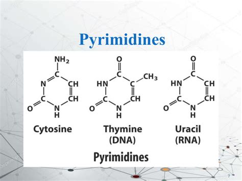 DNA structure and types | PPT