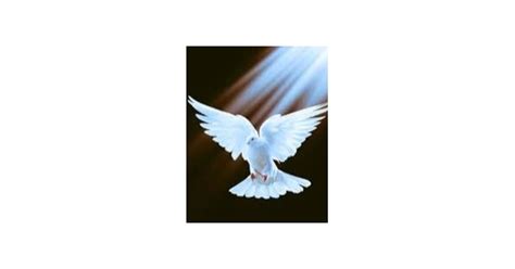 Brenda Parks Obituary 2024 Pampa Tx Carmichael Whatley Funeral