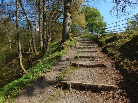 Overtoun House Nature Trail © Lairich Rig Geograph Britain And Ireland