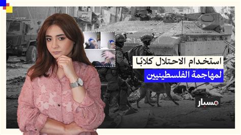 كلب بوليسي إسرائيلي يهاجم امرأة مسنّة في غزّة Youtube