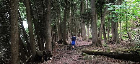 Eagle Trail Hike in Peninsula State Park — Adventure Awaits!