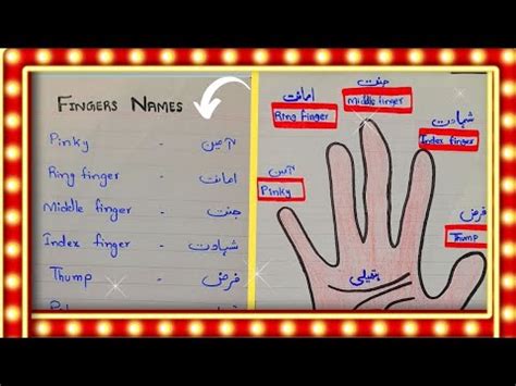 Fingers Name In Islam Fingers Name In English Urdu Or Hindi Hand