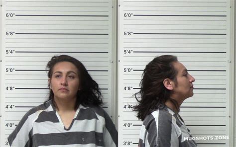 Gonzalez Elena Kerr County Mugshots Zone