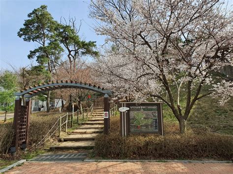 용인시 기흥구 농서근린공원 산책로 정비명품화 나선다 머니s