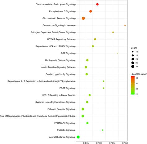 Bubble Chart Of The Top 20 Canonical Pathways Generated By Ipa Download Scientific Diagram