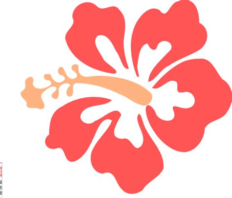 Coral Hibiscus Clip Art At Vector Clip Art Online Royalty