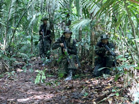 Defesanet Africa Prepara O Intensiva De Guerreiros De Selva Que