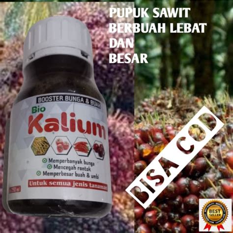 Jual Pupuk Sawit Cair Agar Buah Lebat Shopee Indonesia