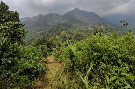 Mengenal Wisata Alam Gunung Butik Di Kabupaten Bogor Terkenal Punya