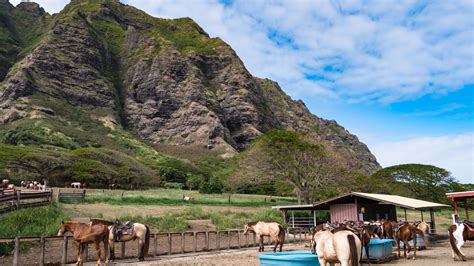 Oahu With Love A Couples Adventure In Paradise Real Hawaii Tours