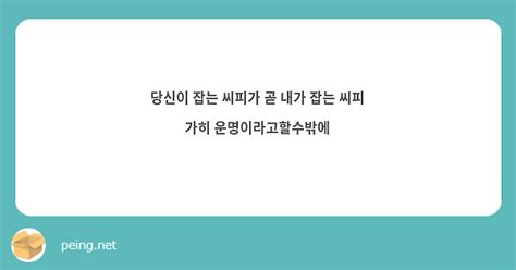 당신이 잡는 씨피가 곧 내가 잡는 씨피 가히 운명이라고할수밖에 Peing 質問箱