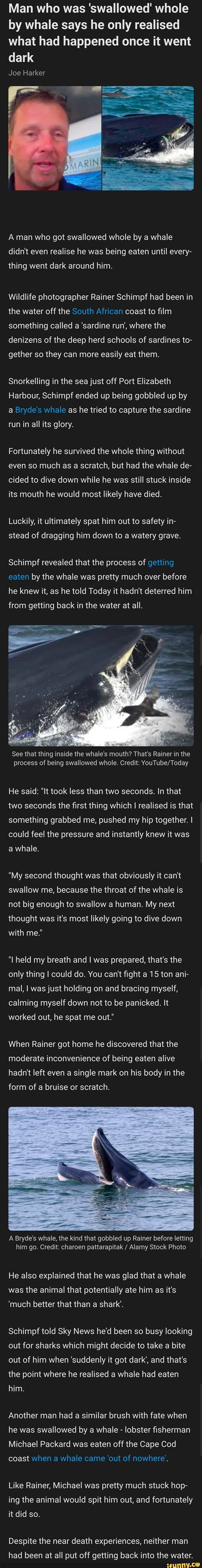 Man Who Was Swallowed Whole By Whale Says He Only Realised What Had