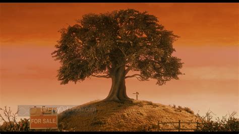 Fantastic Mr Fox Wallpapers Top Free Fantastic Mr Fox Backgrounds