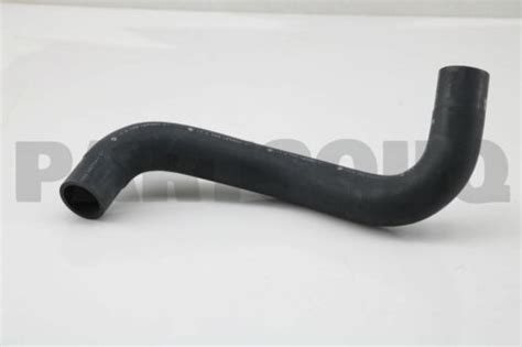 Ed Genuine Nissan Hose Radiator Lower Ed Ebay