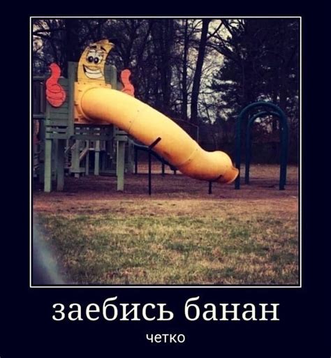 Ганс Бочаров 2024 | ВКонтакте