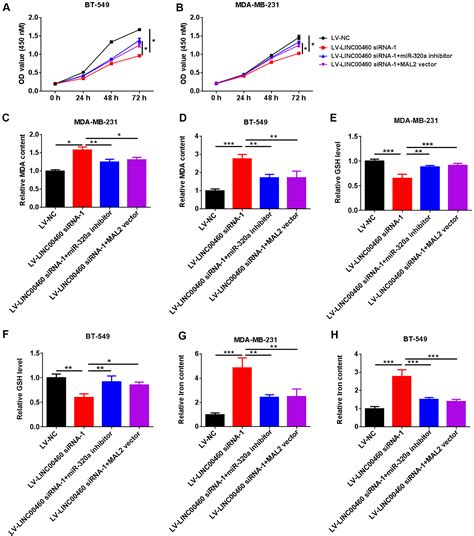 Linc Facilitates Cell Proliferation And Inhibits Ferroptosis In