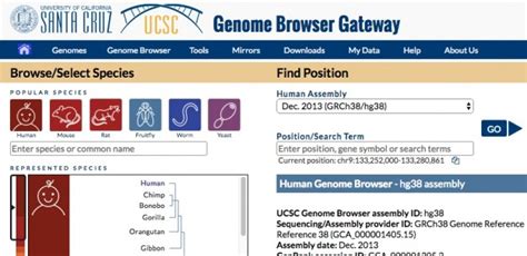 The New Genome Browser Gateway UCSC Genome Browser Blog