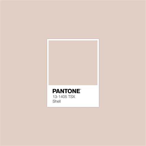 Pantone Smart Tcx Color Swatch Card Shell Off