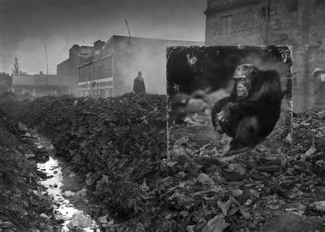 Photographer Nick Brandts Latest Project The Incidental Tourist