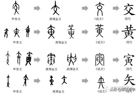 说文解道｜用甲骨文和《易经》追溯儒的起源和真义（三） 每日头条