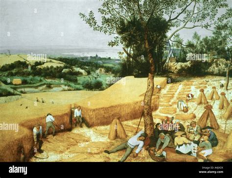 The Harvesters 1565 Artist Pieter Bruegel The Elder Stock Photo