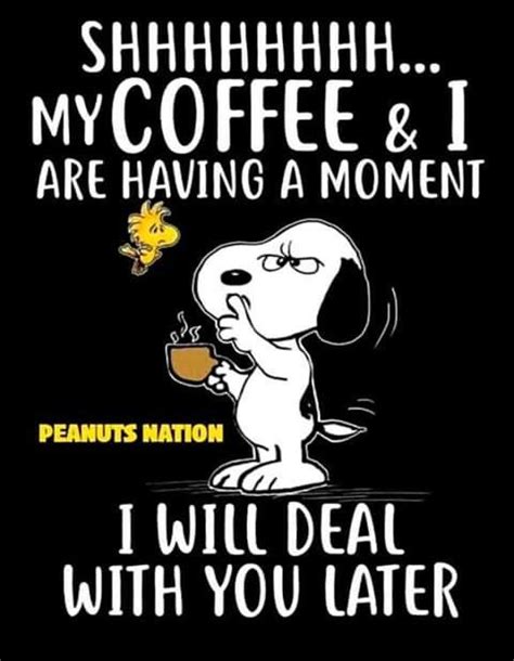 Pin By Melissa Schepartz On Snoopyloveprayer8 Snoopy Quotes Snoopy Love Snoopy And Woodstock