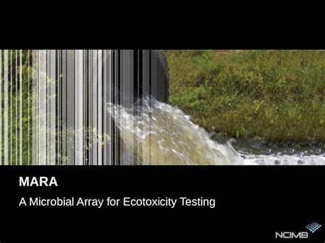 (PPT) MARA A Microbial Array for Ecotoxicity Testing. Contents This presentation covers 3 areas ...