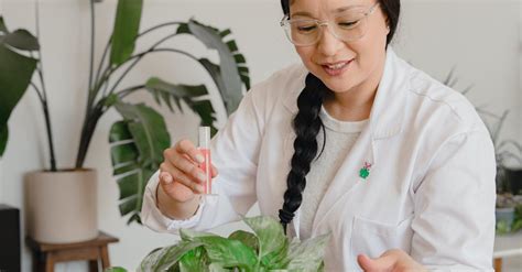 Woman In White Lab Gown Putting Additives On A Plant · Free Stock Photo