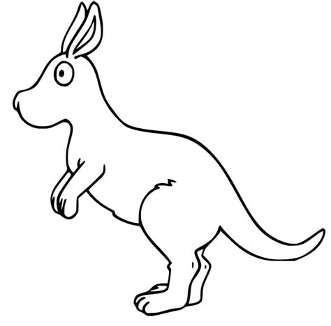 Jumping Wallaby Coloring Page Free Printable Coloring Pages For Kids