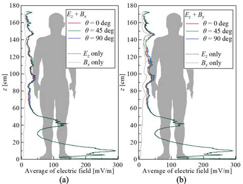 Figure From Calculation Of Electric Field Induced In The Human Body