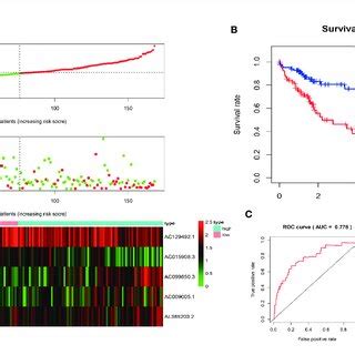 Construction Of Five Immune Related Gene Models From The Test