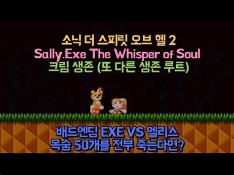 소닉 더 스피릿 오브 헬 2 크림 다른 루트 EXE VS 엘리스 50번 죽으면 YouTube