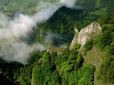 Pieni Ski Park Narodowy Polskie Parki Narodowe