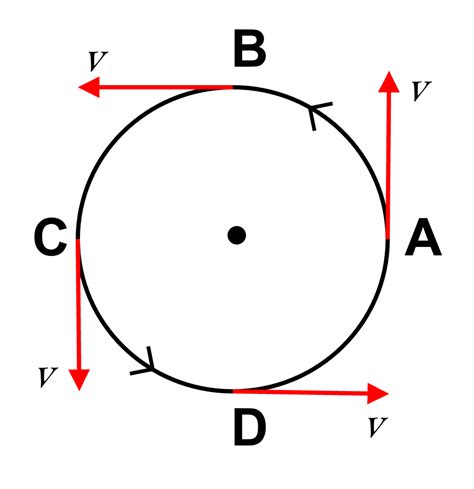 Chapter 2 Motion In One Dimension Selina Solutions Concise Physics