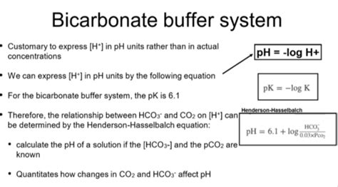 Phys Week Lec Acid Base Regulation Flashcards Quizlet