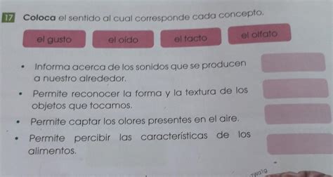 Coloca El Sentido Al Cual Corresponde Cada Concepto El Olfato El Tacto