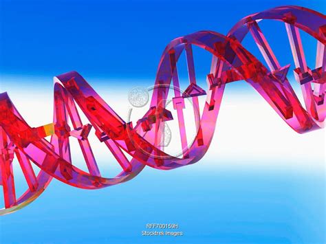 D Rendering Of A Dna Strand Stocktrek Images