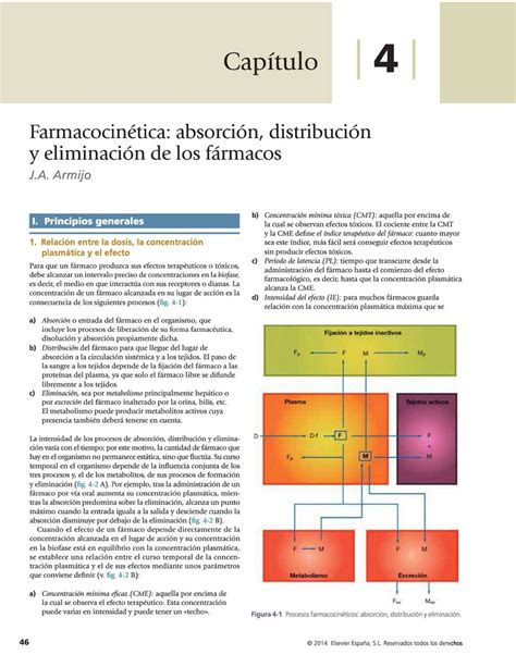 Tema 4 Farmacocinética Continuación Farmacología General Studocu