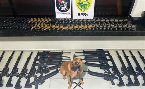 Com Apoio De Cão Farejador Pm Faz Apreensão Histórica De Armas No Paraná