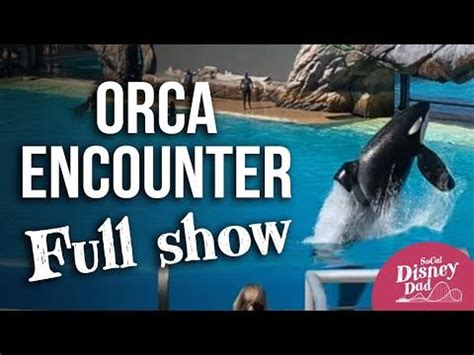 Orca Encounter Full Show at SeaWorld San Diego 2021 - YouTube ...