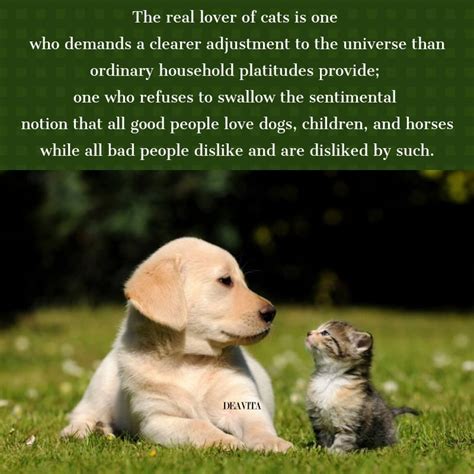 Funny Cat Vs Dog Quotes - ShortQuotes.cc