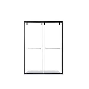 Roswell Brescia In W X In H Sliding Framed Shower Door