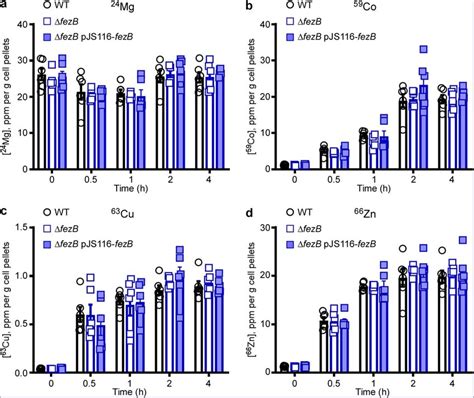 Intracellular Metal Quantification Using Icp Ms A The Intracellular