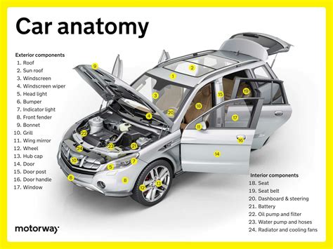 Car Anatomy: What Are The Parts Of A Car? (2024 Update) | Motorway