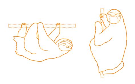 Greater Kudu Tragelaphus Strepsiceros Dimensions Drawings