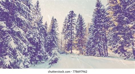 Wintry Landscape Scenery Retro Style Instagram Stock Photo 778697962 ...