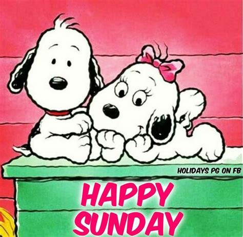 Pin By Martha Urias On Days Of The Week Quotes Snoopy Cartoon Snoopy Love Snoopy